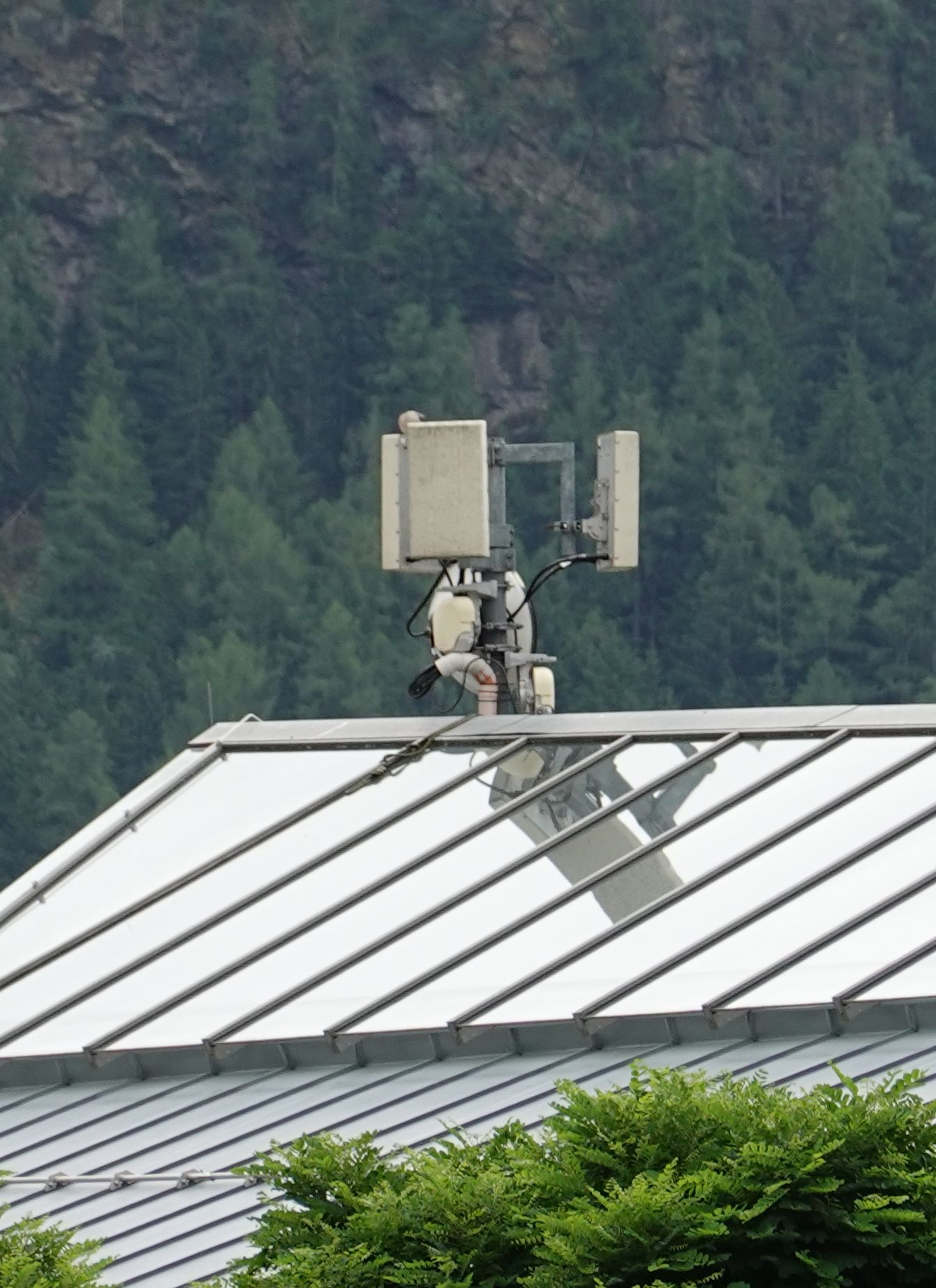 Die Antennen im Juli 2023