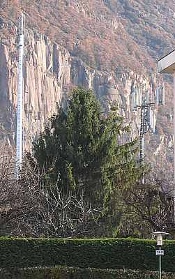 StJakob.jpg (14073 Byte)
