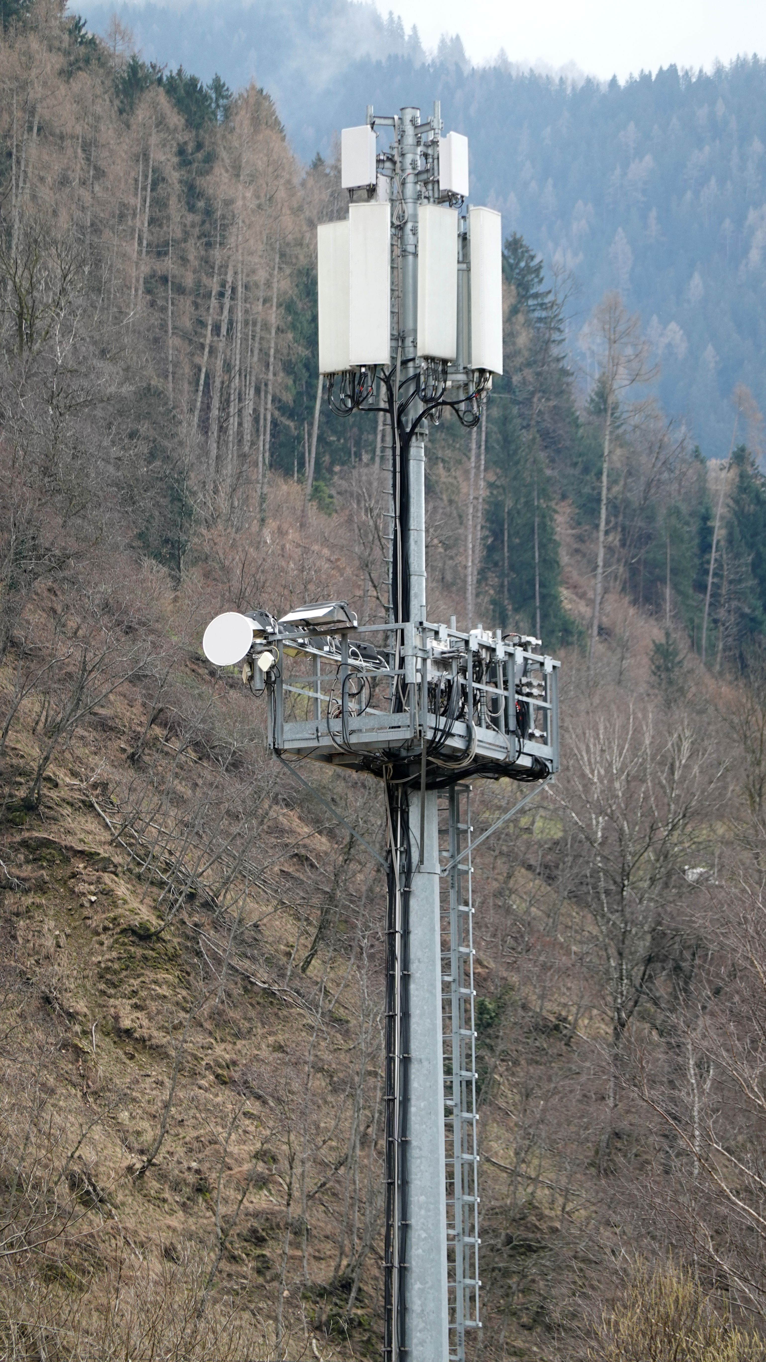 Die Antennen von Tim und Vodafone im März 2025