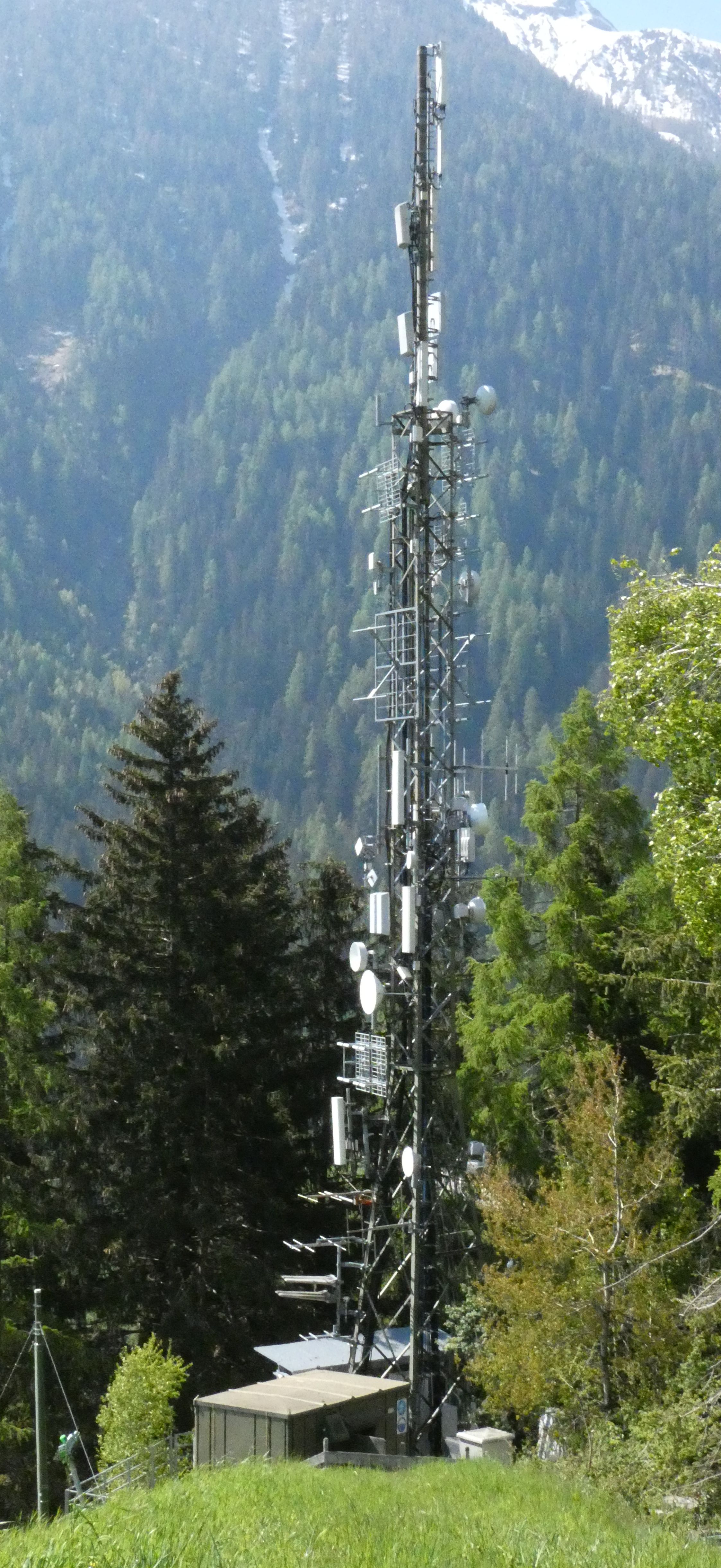 Die Anlage im Mai 2020