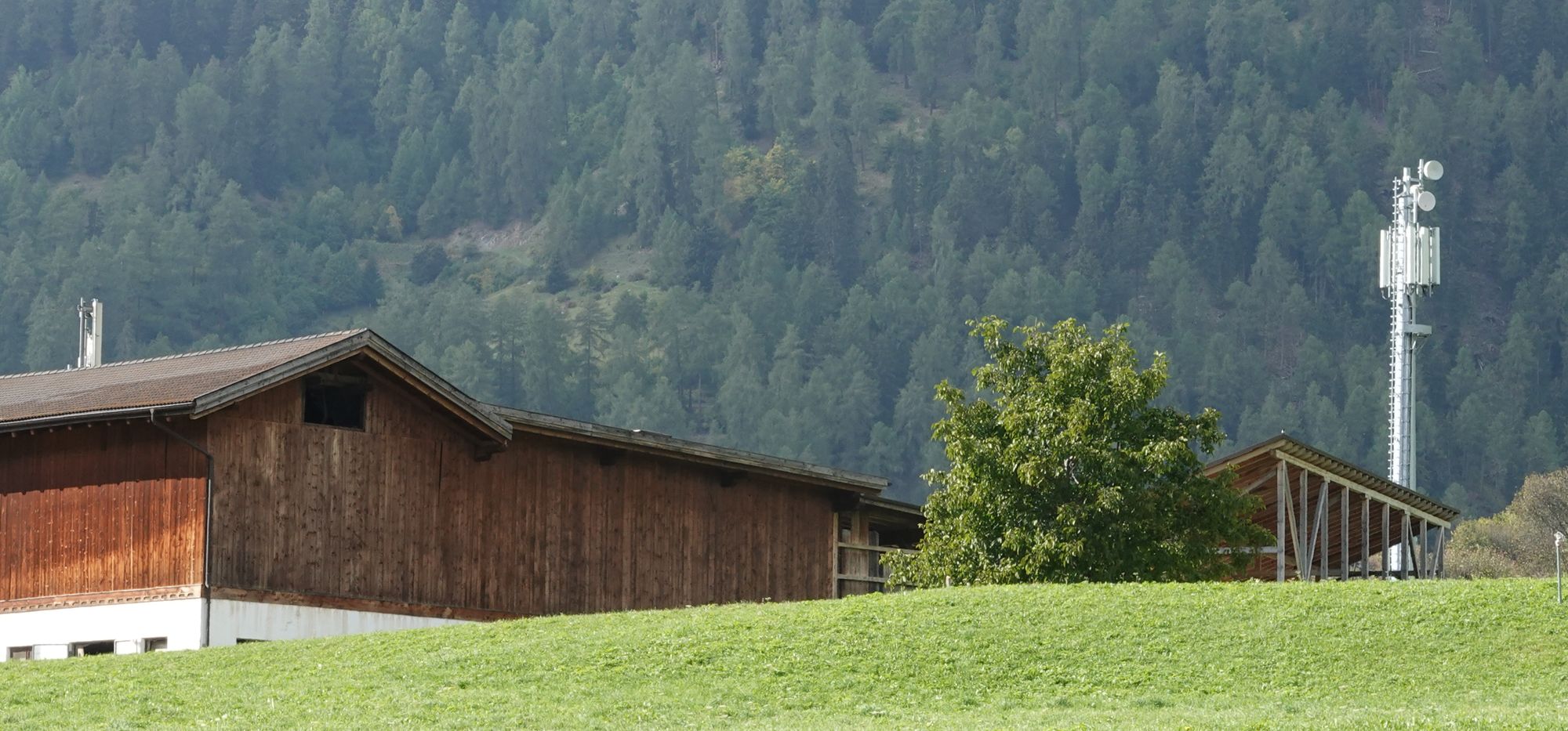 Die Antennen im Oktober 2020. Wind3 noch auf Stadel, Tim und Vodafone auf Masten.