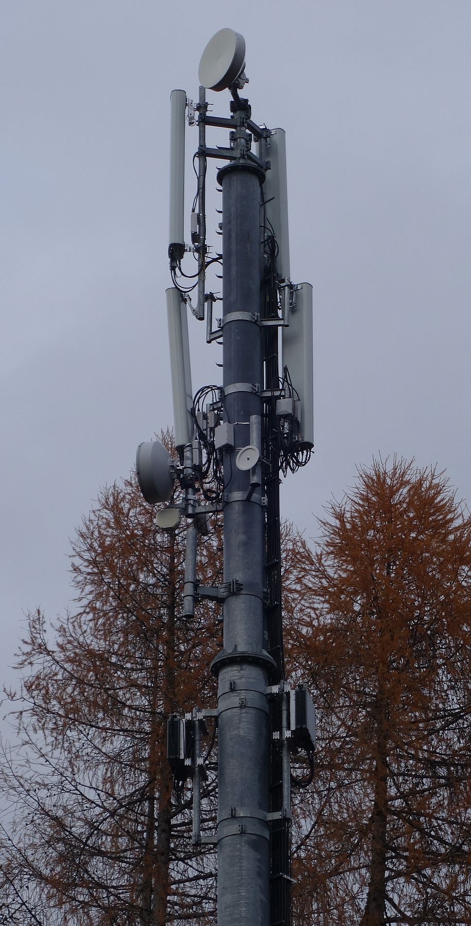 Die Antennen im November 2016