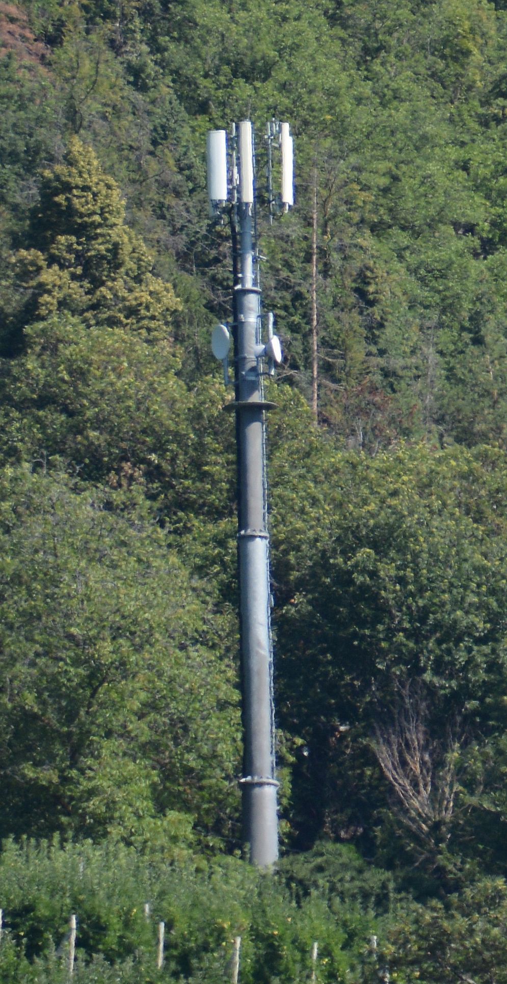Die Anlage im August 2018
