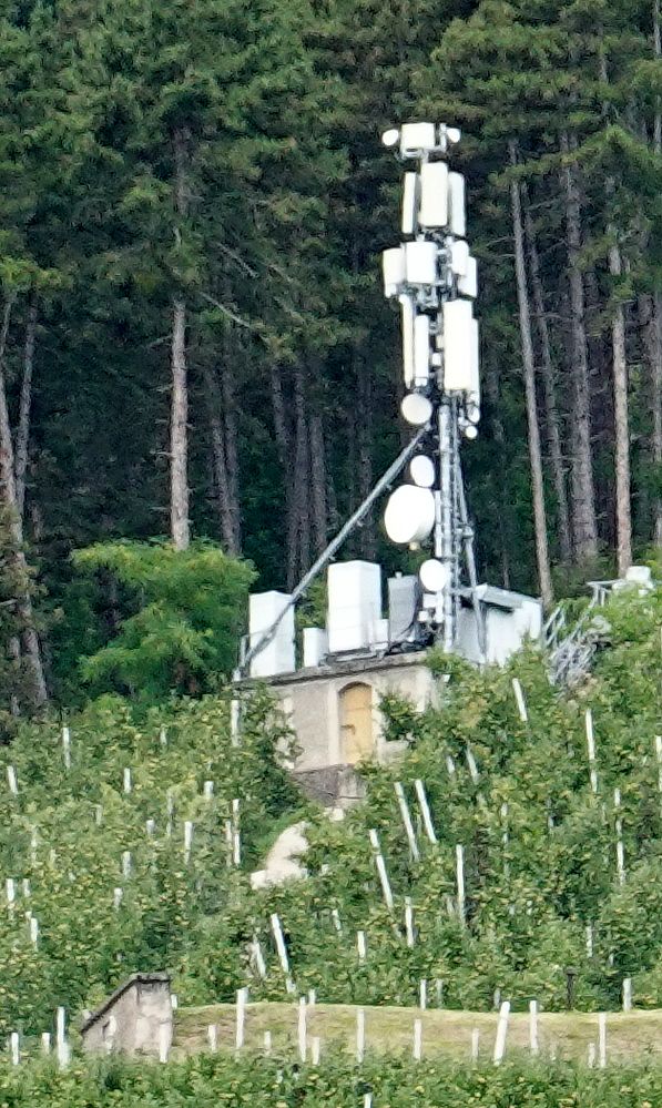 Die Anlage im August 2025