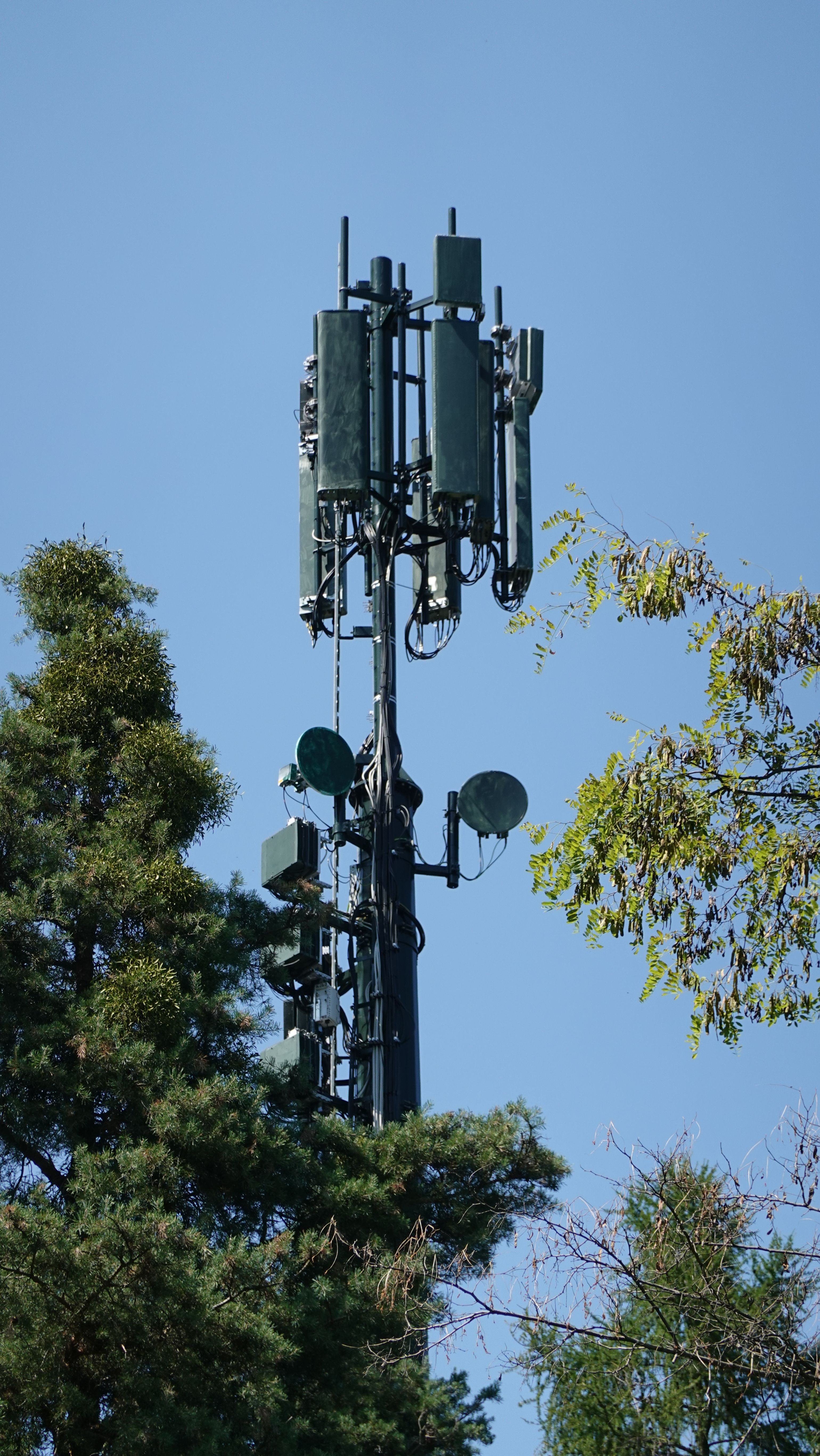 Die Antennen im August 2025
