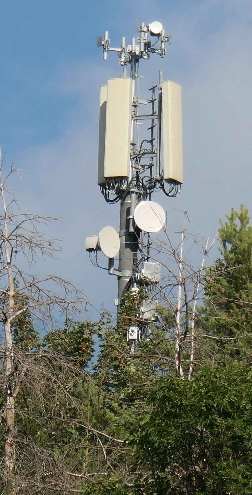 Die Antennen im September 2026